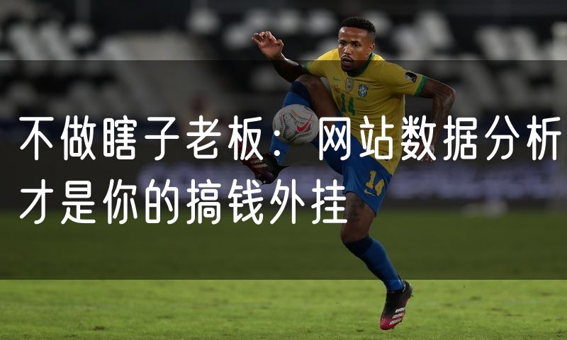 不做瞎子老板：网站数据分析才是你的搞钱外挂