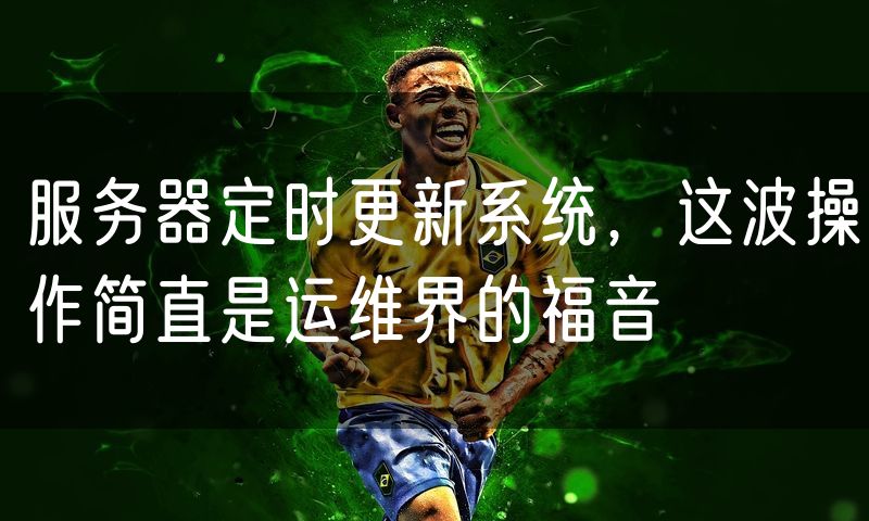 服务器定时更新系统,这波操作简直是运维界的福音