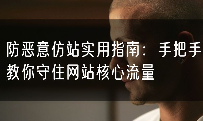 防恶意仿站实用指南:手把手教你守住网站核心流量