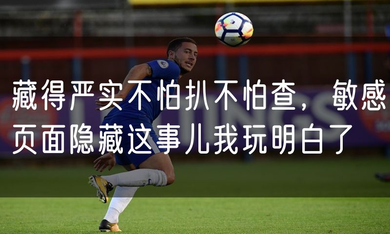 藏得严实不怕扒不怕查，敏感页面隐藏这事儿我玩明白了