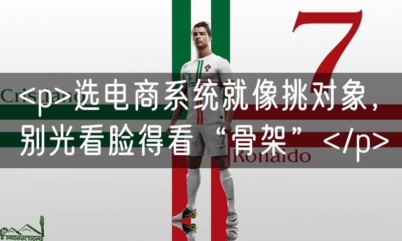 <p>选电商系统就像挑对象，别光看脸得看“骨架”</p>