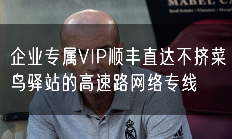 企业专属VIP顺丰直达不挤菜鸟驿站的高速路网络专线