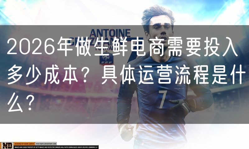 2026年做生鲜电商需要投入多少成本?具体运营流程是什么?