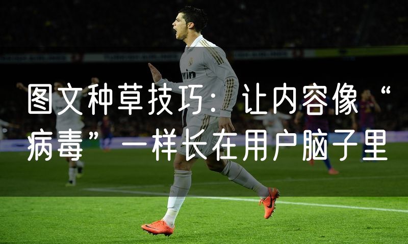 图文种草技巧：让内容像“病毒”一样长在用户脑子里