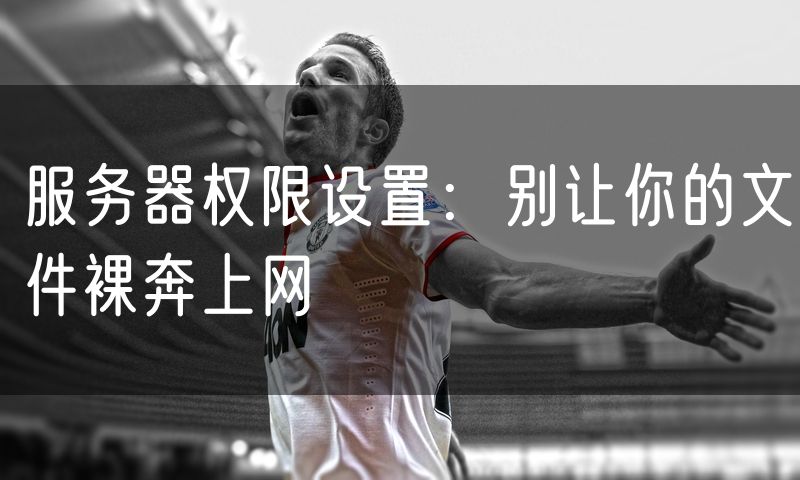 服务器权限设置:别让你的文件裸奔上网