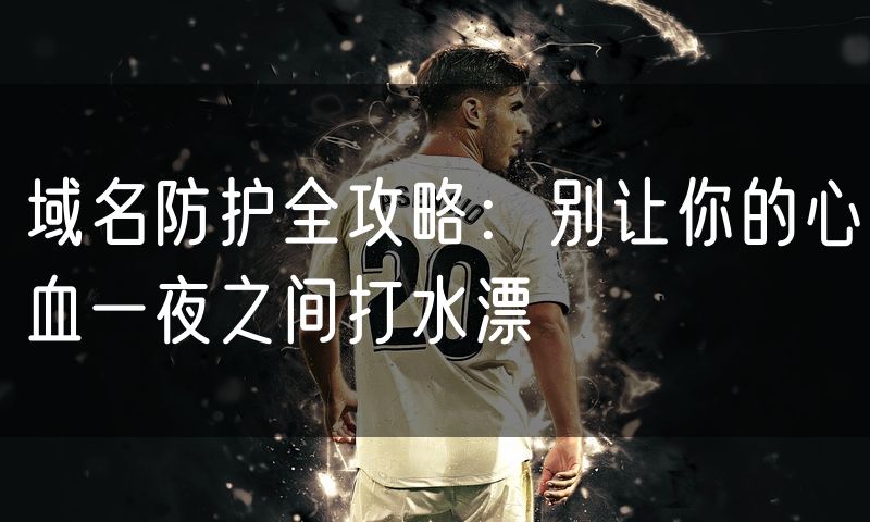 域名防护全攻略:别让你的心血一夜之间打水漂