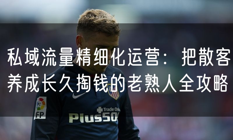 私域流量精细化运营:把散客养成长久掏钱的老熟人全攻略