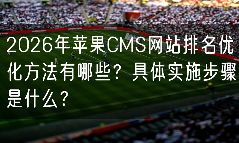 2026年苹果CMS网站排名优化方法有哪些?具体实施步骤是什么?