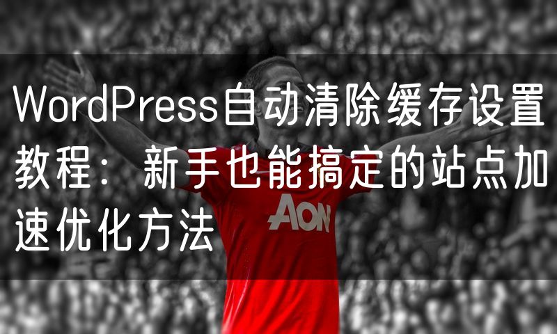 WordPress自动清除缓存设置教程:新手也能搞定的站点加速优化方法