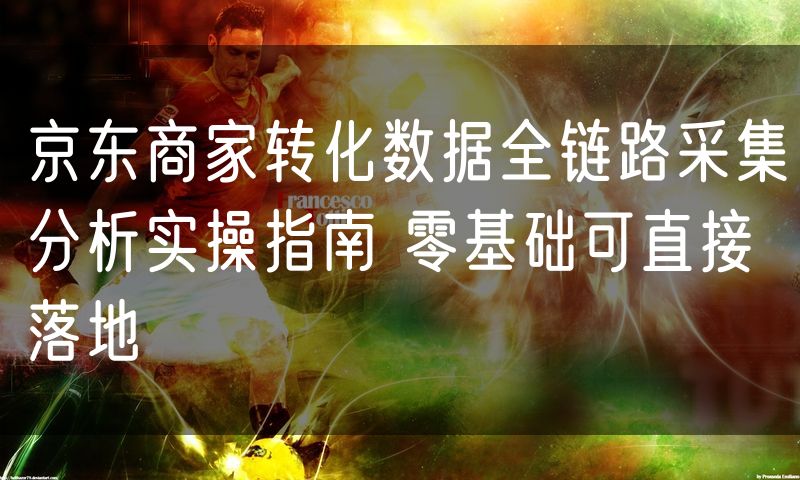 京东商家转化数据全链路采集分析实操指南 零基础可直接落地