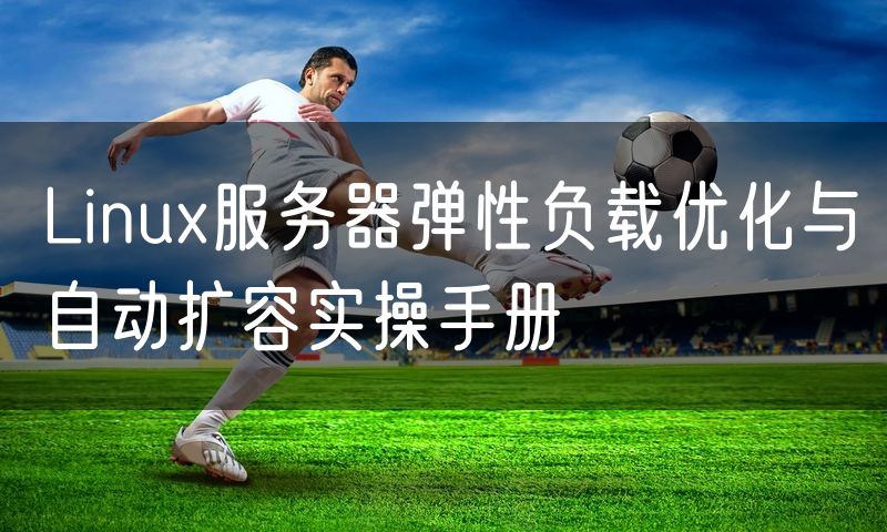 Linux服务器弹性负载优化与自动扩容实操手册