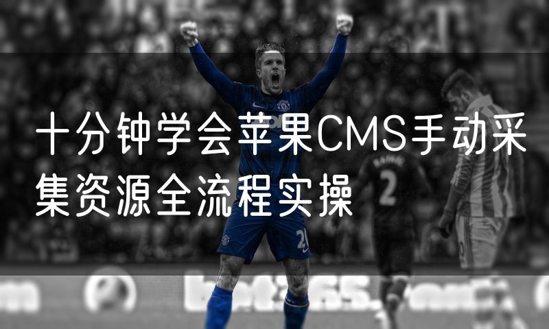 十分钟学会苹果CMS手动采集资源全流程实操