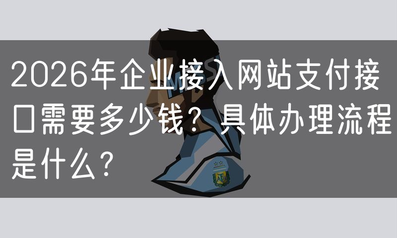2026年企业接入网站支付接口需要多少钱？具体办理流程是什么？