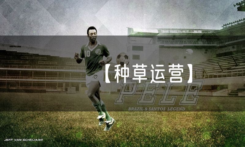 【种草运营】
