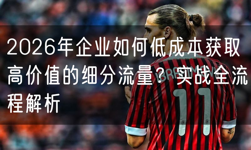 2026年企业如何低成本获取高价值的细分流量?实战全流程解析
