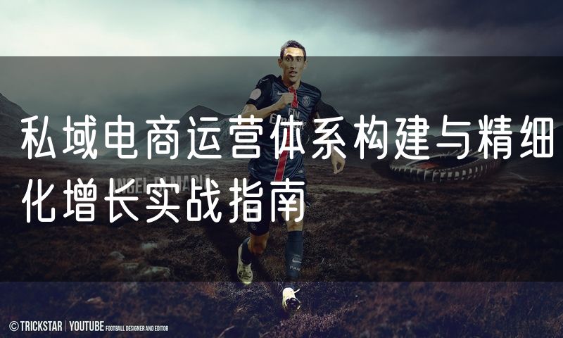 私域电商运营体系构建与精细化增长实战指南