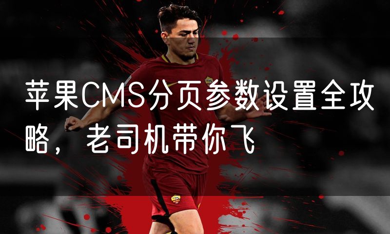 苹果CMS分页参数设置全攻略,老司机带你飞