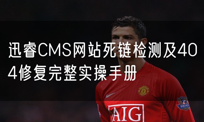 迅睿CMS网站死链检测及404修复完整实操手册