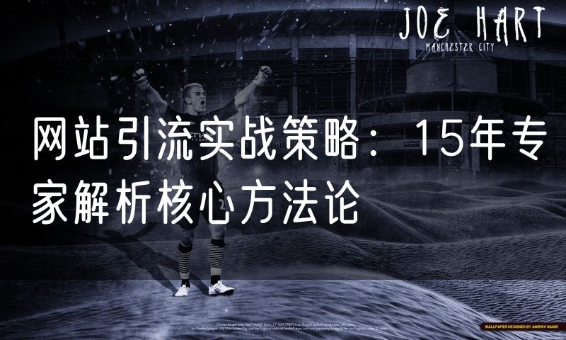 网站引流实战策略:15年专家解析核心方法论