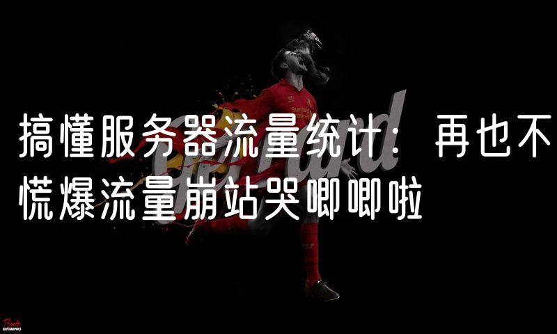 搞懂服务器流量统计:再也不慌爆流量崩站哭唧唧啦