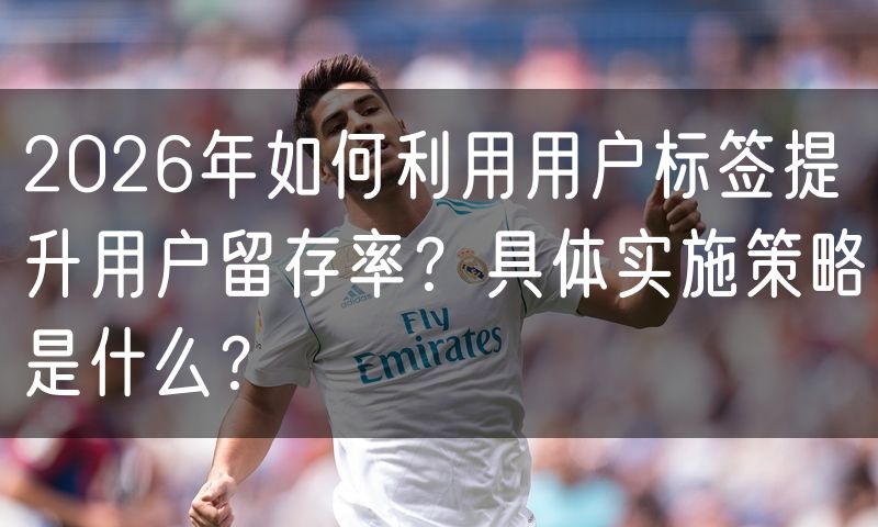 2026年如何利用用户标签提升用户留存率?具体实施策略是什么?
