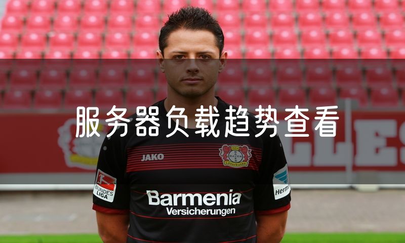 服务器负载趋势查看