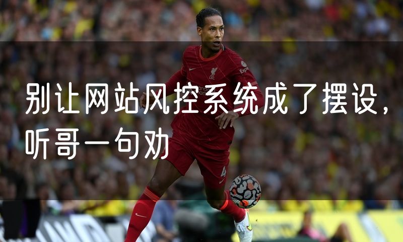 别让网站风控系统成了摆设,听哥一句劝