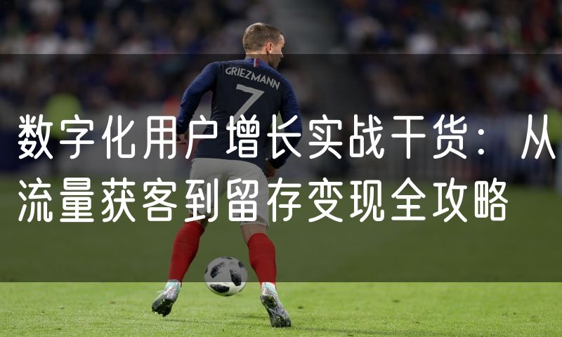 数字化用户增长实战干货:从流量获客到留存变现全攻略