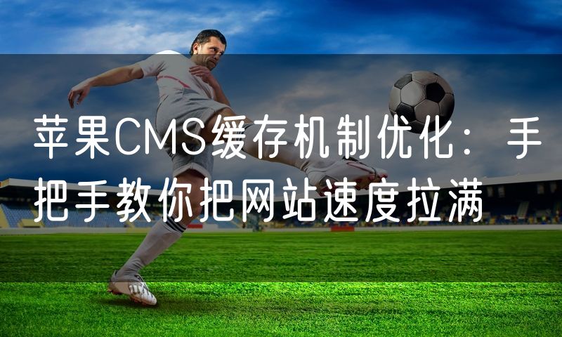 苹果CMS缓存机制优化:手把手教你把网站速度拉满