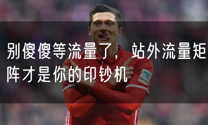别傻傻等流量了,站外流量矩阵才是你的印钞机