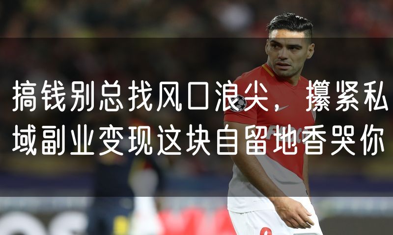 搞钱别总找风口浪尖,攥紧私域副业变现这块自留地香哭你