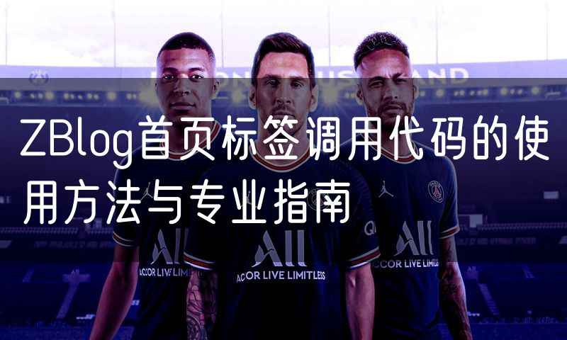 ZBlog首页标签调用代码的使用方法与专业指南