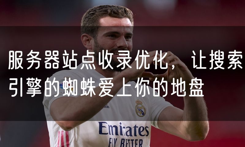服务器站点收录优化,让搜索引擎的蜘蛛爱上你的地盘