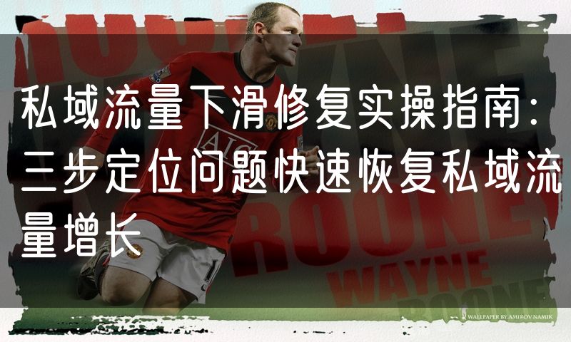私域流量下滑修复实操指南:三步定位问题快速恢复私域流量增长