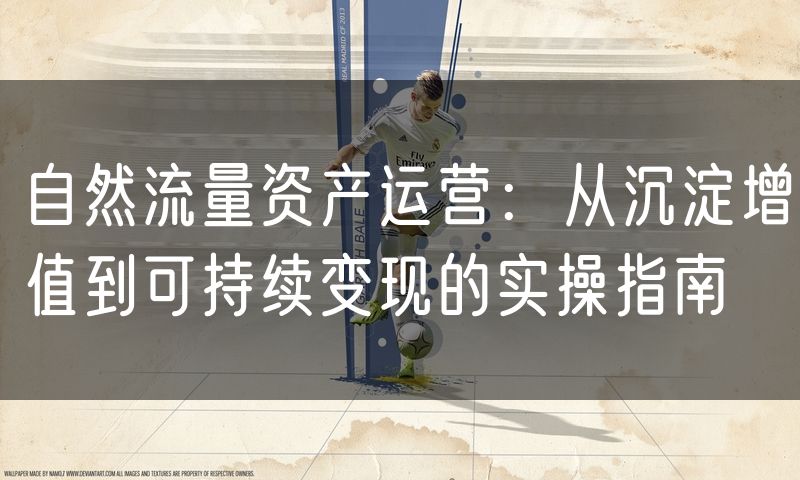自然流量资产运营:从沉淀增值到可持续变现的实操指南