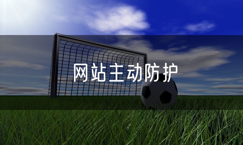 网站主动防护