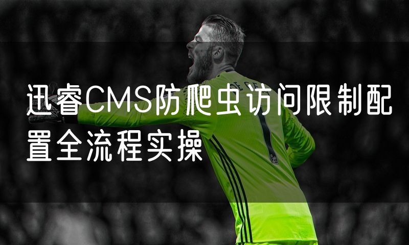迅睿CMS防爬虫访问限制配置全流程实操
