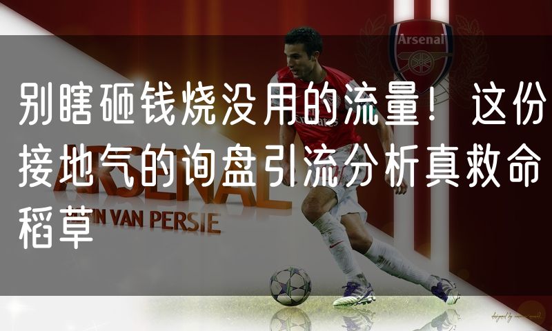 别瞎砸钱烧没用的流量!这份接地气的询盘引流分析真救命稻草