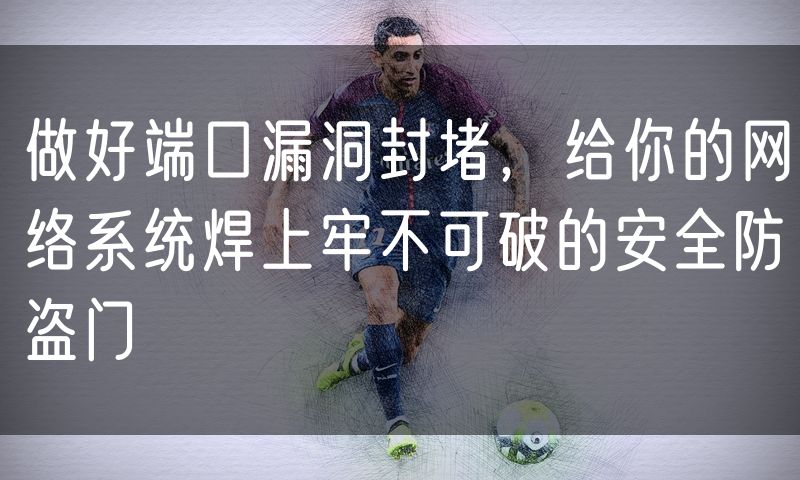 做好端口漏洞封堵,给你的网络系统焊上牢不可破的安全防盗门