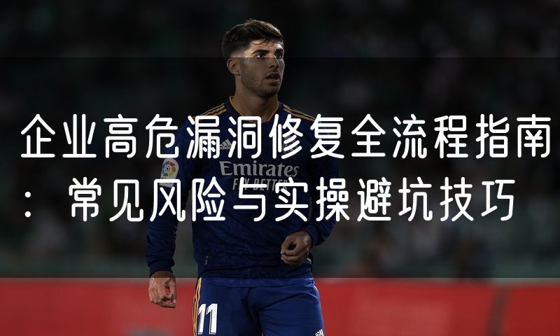 企业高危漏洞修复全流程指南:常见风险与实操避坑技巧