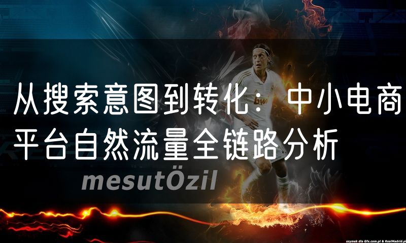 从搜索意图到转化:中小电商平台自然流量全链路分析