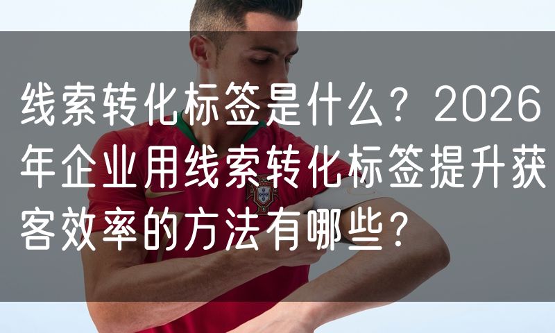 线索转化标签是什么?2026年企业用线索转化标签提升获客效率的方法有哪些?