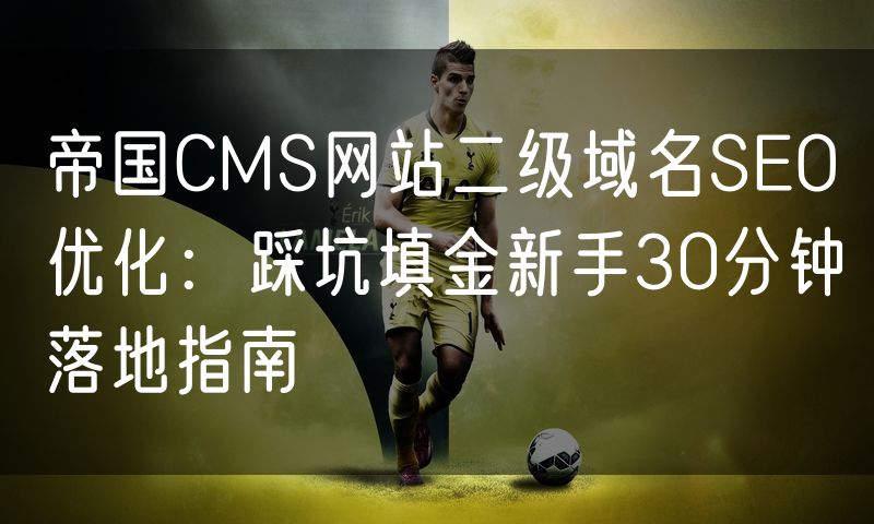 帝国CMS网站二级域名SEO优化:踩坑填金新手30分钟落地指南