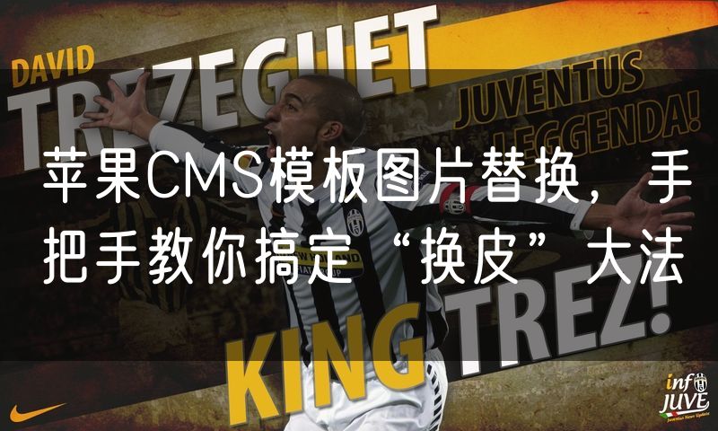 苹果CMS模板图片替换，手把手教你搞定“换皮”大法