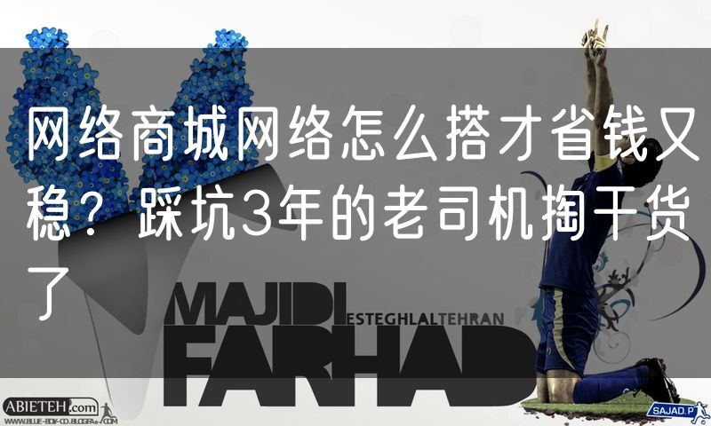 网络商城网络怎么搭才省钱又稳？踩坑3年的老司机掏干货了