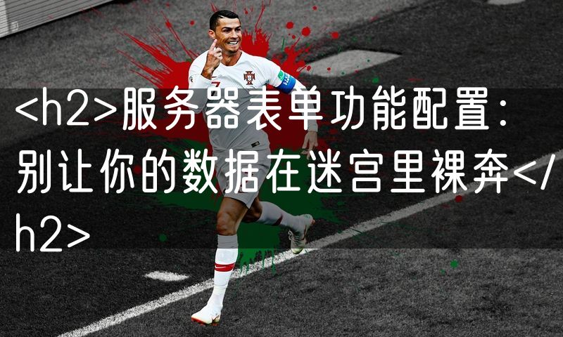 <h2>服务器表单功能配置:别让你的数据在迷宫里裸奔</h2>
