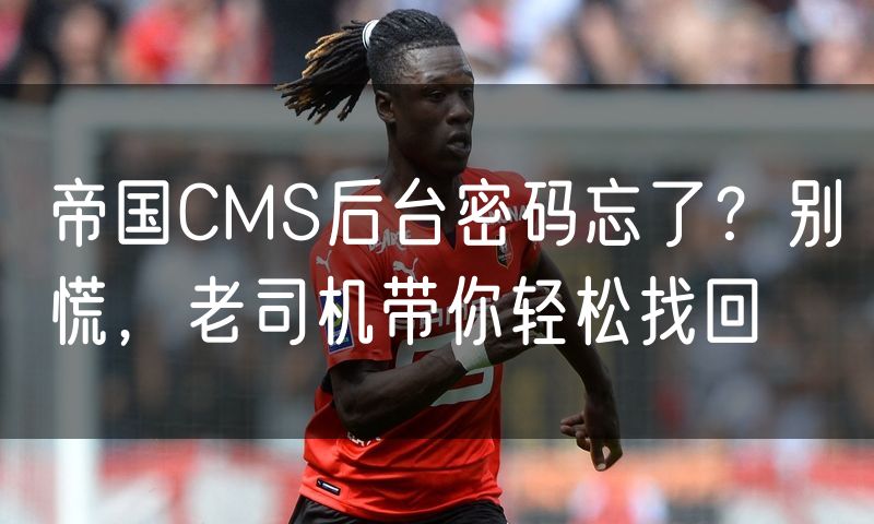 帝国CMS后台密码忘了?别慌,老司机带你轻松找回