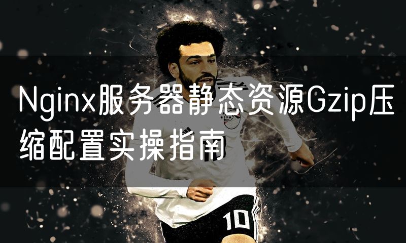 Nginx服务器静态资源Gzip压缩配置实操指南