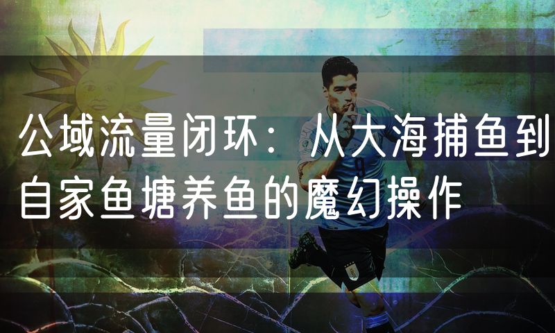 公域流量闭环：从大海捕鱼到自家鱼塘养鱼的魔幻操作