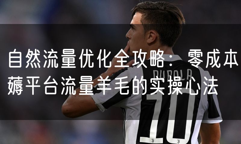 自然流量优化全攻略:零成本薅平台流量羊毛的实操心法